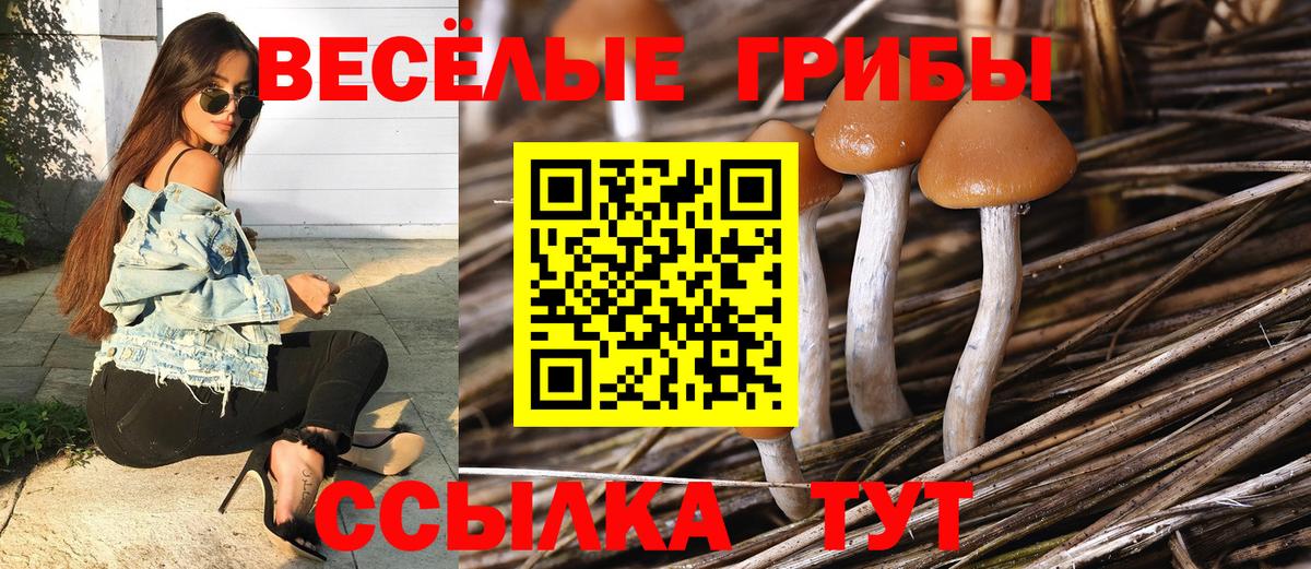 наркота  Псилоцибиновые грибы мицелий  Вход с VPN  Ейск 