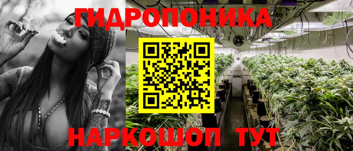 Бошки марихуана сатива  Конопля MAZAR  Ейск  Вход с VPN  Конопля LSD WEED 